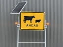 Stock AHEAD -  Remote Control Road Signs